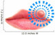 Close up of lips affected by herpes (cold sore) Wall Decal