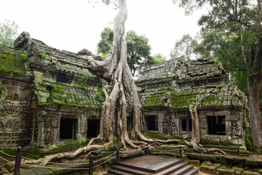 Ancient Ta Prohm