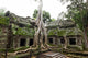 Ancient Ta Prohm