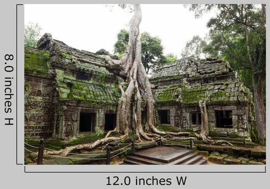 Ancient Ta Prohm
