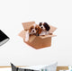 two sad puppies in a box Wall Decal