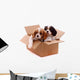 two sad puppies in a box Wall Decal
