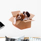 two sad puppies in a box Wall Decal