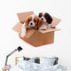 two sad puppies in a box Wall Decal