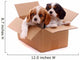 two sad puppies in a box Wall Decal