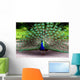 Peacock Wall Mural