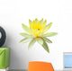 Yellow Water Lily in Isolated White Wall Decal
