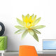Yellow Water Lily in Isolated White Wall Decal