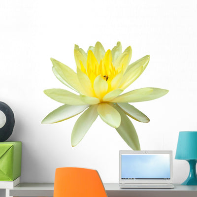 Yellow Water Lily Wall Decal shown on a wall
