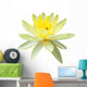 Yellow Water Lily in Isolated White Wall Decal