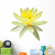 Yellow Water Lily in Isolated White Wall Decal