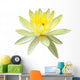 Yellow Water Lily in Isolated White Wall Decal