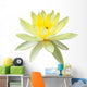 Yellow Water Lily in Isolated White Wall Decal