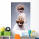 Creative Art Sophisticated Woman