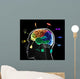 Functional Areas Brain