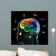Functional Areas Brain