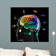 Functional Areas Brain
