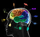Functional Areas Brain