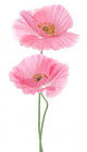 Pink Poppy Wall Decal