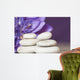 Magic Stones Wall Mural