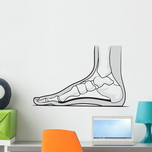 Medial Foot Anatomy Wall Decal