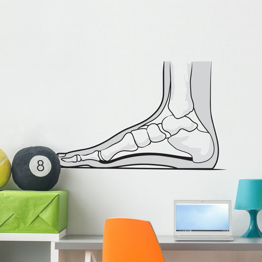 Medial Foot Anatomy Wall Decal