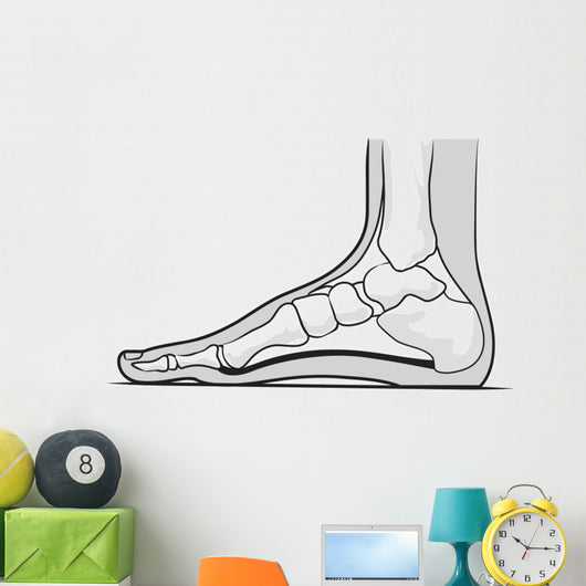 Medial Foot Anatomy Wall Decal