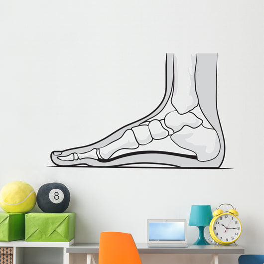 Medial Foot Anatomy Wall Decal
