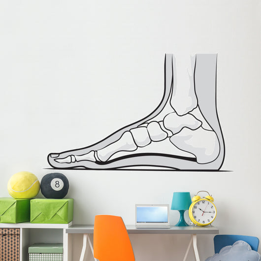 Medial Foot Anatomy Wall Decal