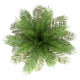 Top Date Palm Tree Wall Decal