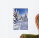 Wintertime