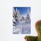 Wintertime