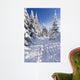 Wintertime