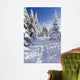 Wintertime