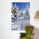 Wintertime