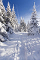 Wintertime