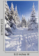 Wintertime
