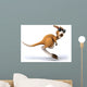 Fun Kangaroo Wall Decal