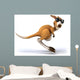 Fun Kangaroo Wall Decal