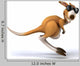 Fun Kangaroo Wall Decal