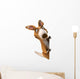 Fun Kangaroo Wall Decal