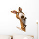 Fun Kangaroo Wall Decal