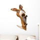 Fun Kangaroo Wall Decal
