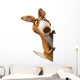 Fun Kangaroo Wall Decal