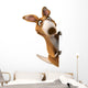 Fun Kangaroo Wall Decal
