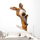 Fun Kangaroo Wall Decal