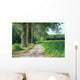 Sandy Path Rural Landscape