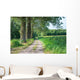 Sandy Path Rural Landscape