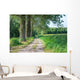 Sandy Path Rural Landscape