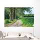 Sandy Path Rural Landscape
